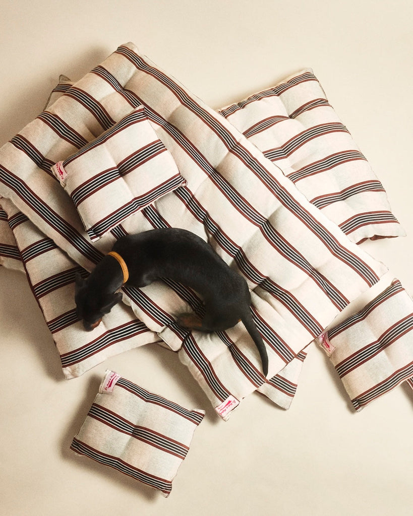 Le Mont Saint Michel x Tensira : Une collaboration autour du savoir-faire et du patrimoine